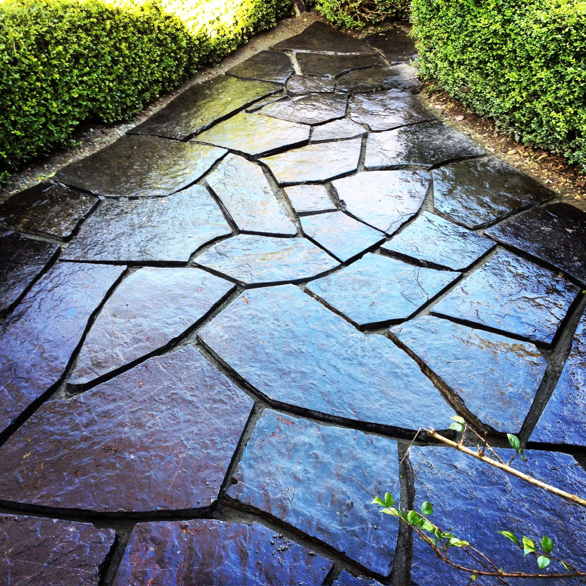 Curved stone steps in a garden beside a picket fence