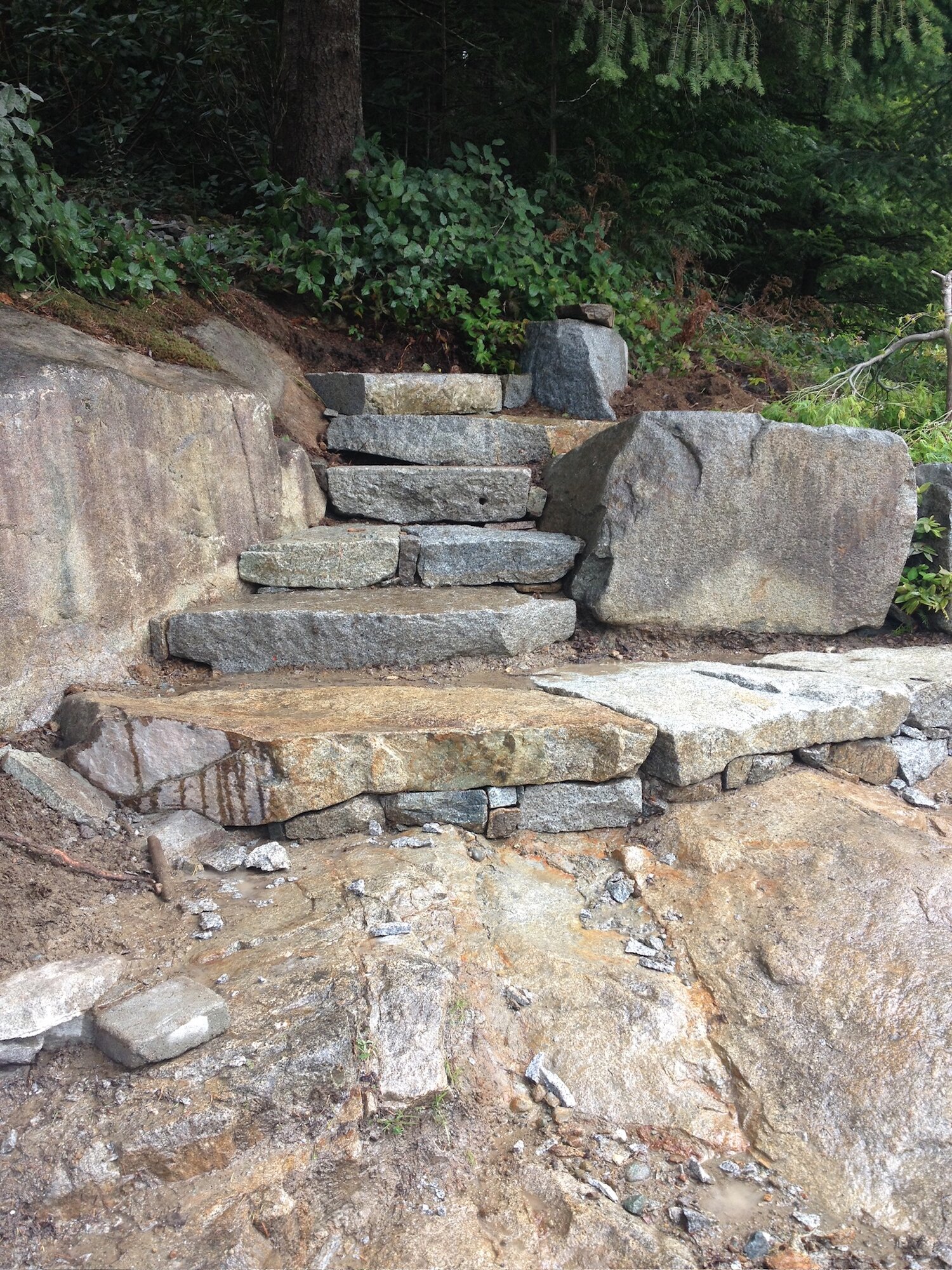 Natural granite boulder steps in a forest setting