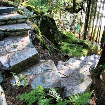 Natural stone steps set into a forest hillside